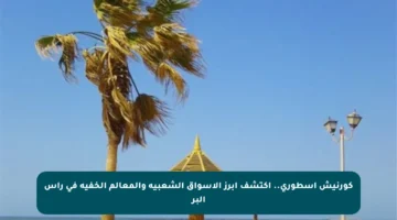 كورنيش أسطوري.. اكتشف أبرز الأسواق الشعبية والمعالم الخفية في رأس البر